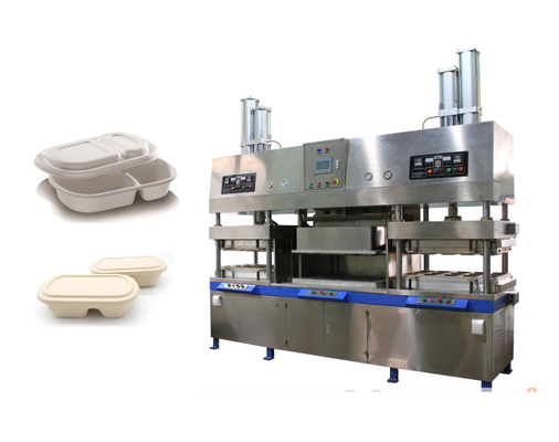 Máy ép bột giấy chống dầu để sản xuất hộp vỏ sò