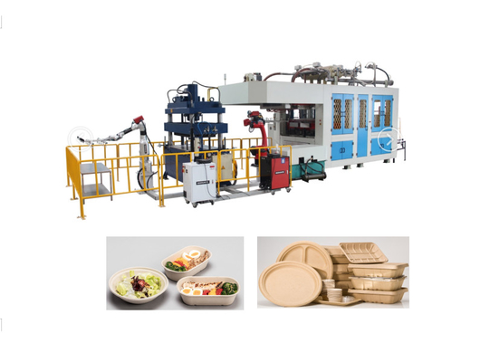 Máy đúc giấy bột phân hủy sinh học Thùng chứa thực phẩm dùng một lần 1 năm bảo hành