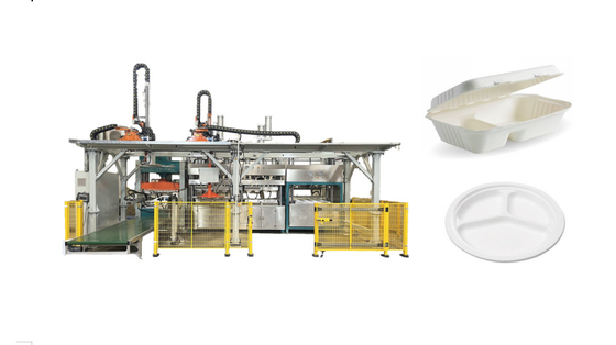 Máy ép bột giấy tự động cho khuôn bột giấy nguyên chất 4000 chiếc / giờ