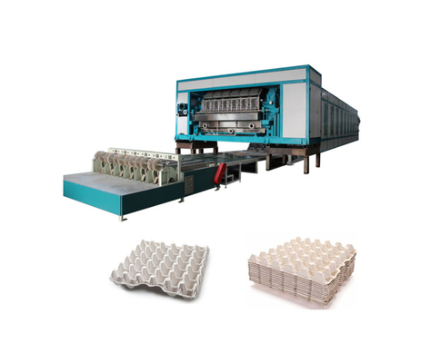 5000-7000pcs/H Máy sản xuất đĩa trứng với nhiều dòng sấy