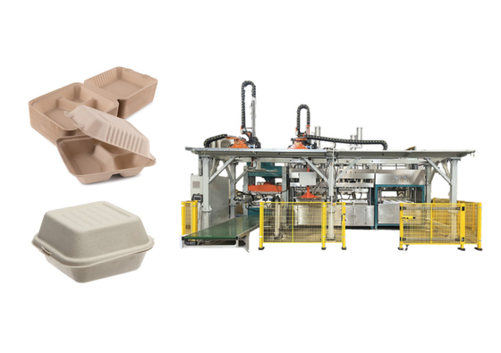 Máy làm thùng chứa bột giấy gỗ với rô bốt cắt và xếp chồng