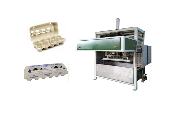 Giấy thải đúc sợi tự động Máy làm hộp trứng 10 gói