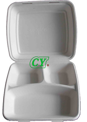 Máy ép bột giấy PLC Hướng dẫn sử dụng Khay mía có thể ủ khô trong máy ép ướt khuôn