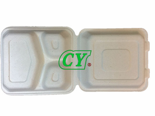 Máy phân hủy sinh học Bã mía Vỏ sò Máy làm hộp cơm nguyên chất Bột giấy bột gỗ