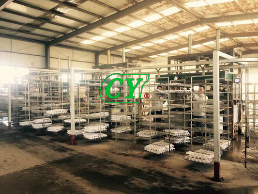 Máy sấy bột giấy thân thiện với môi trường Dây chuyền sản xuất hộp trứng
