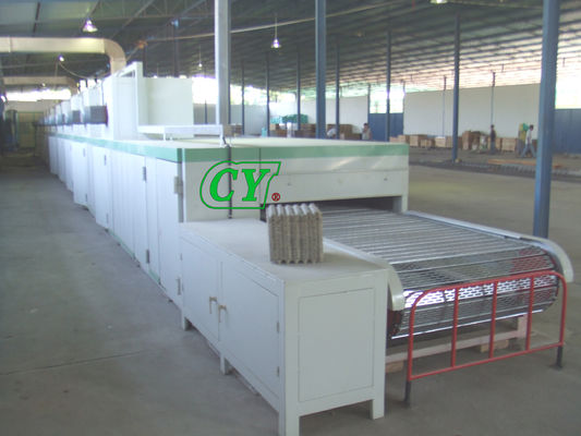 Máy sấy bột giấy một lớp Dây chuyền sản xuất khuôn bột