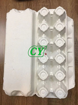 Sản phẩm bột giấy đúc khuôn có thể phân hủy sinh học Bột giấy Khay đựng trứng Hộp đựng trứng tái chế