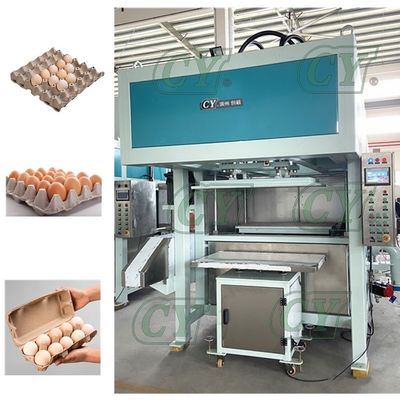 Máy khay trứng tự động máy sản xuất hộp giấy đựng bột giấy